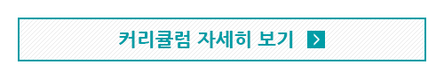 커리큘럼 자세히 보기